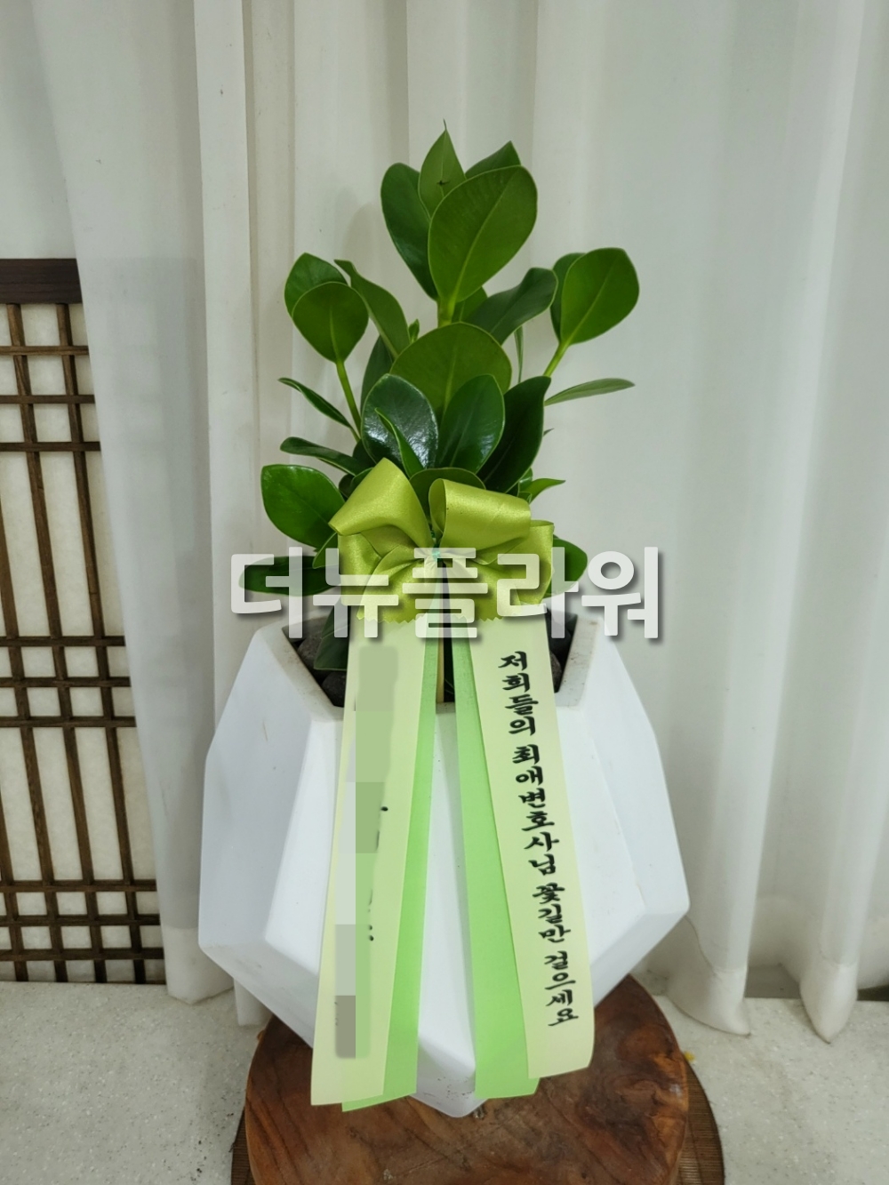 개업 선물용 식물