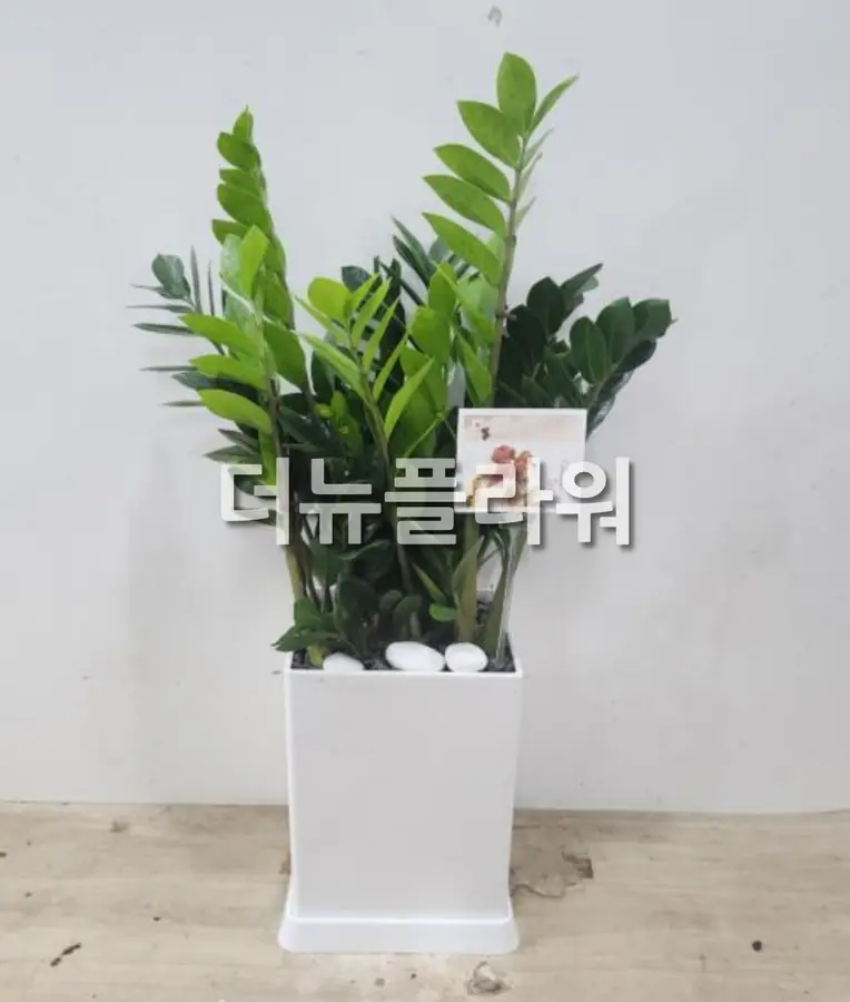 실제 배송 사진 23