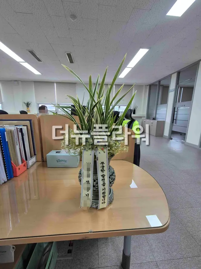 실제 배송 사진 13