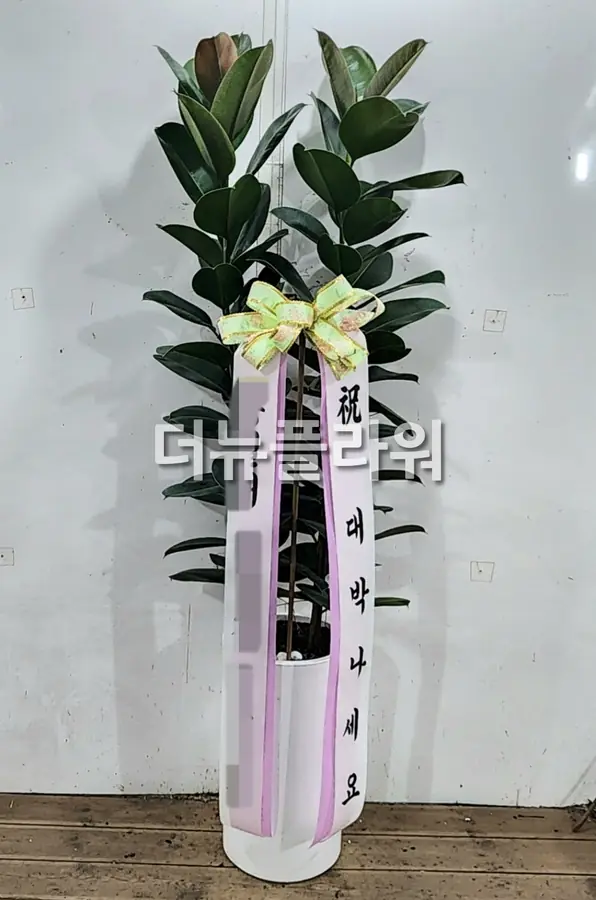 실제 배송 사진 16