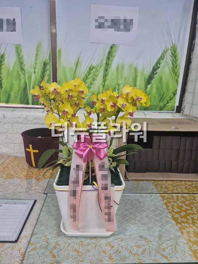 실제 배송 사진 21