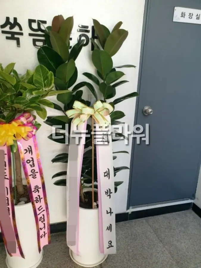 실제 배송 사진 1