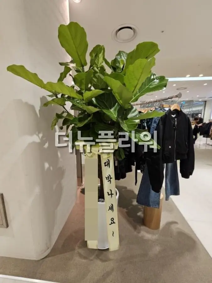 실제 배송 사진 4