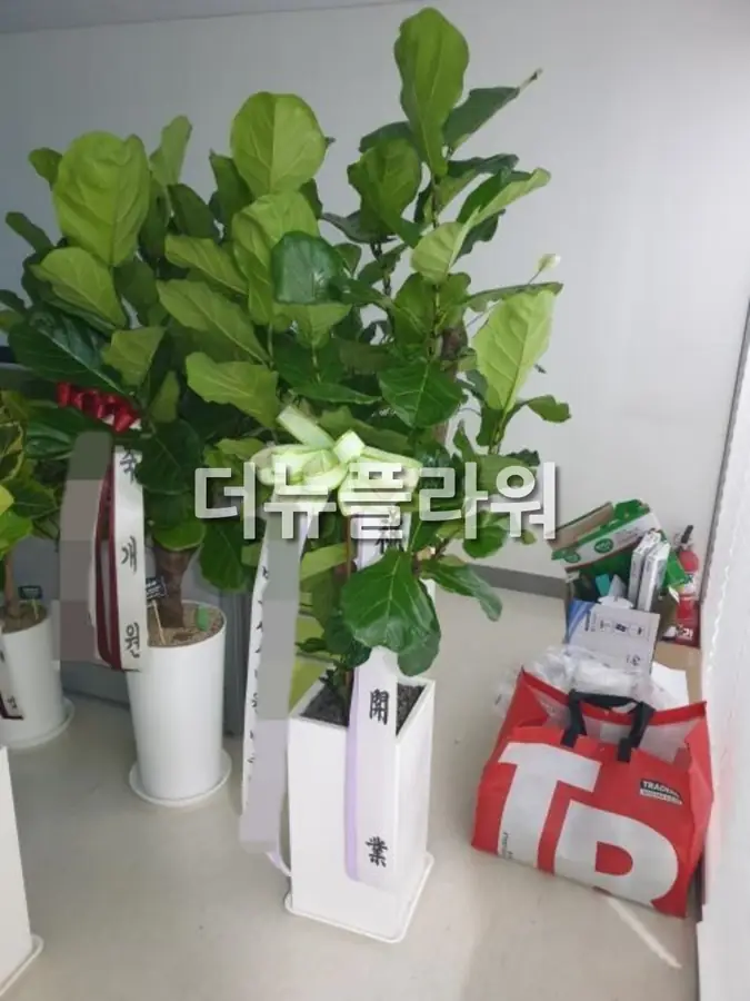 실제 배송 사진 12