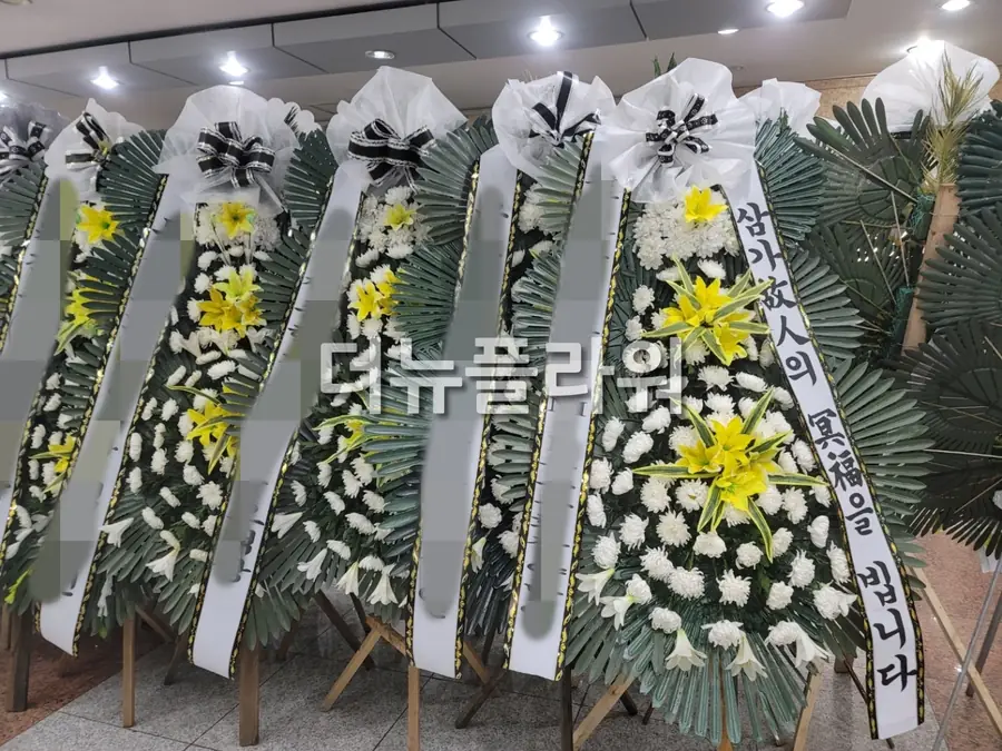 실제 배송 사진 15
