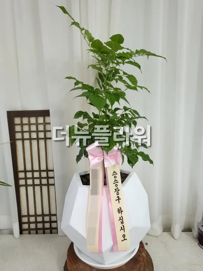 실제 배송 사진 16