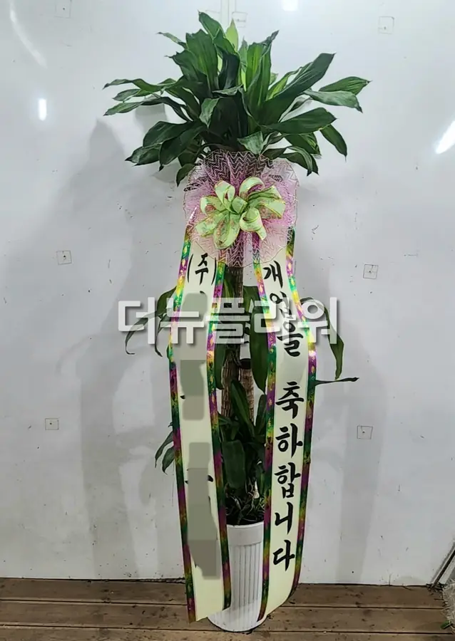 실제 배송 사진 19