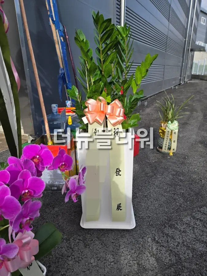 실제 배송 사진 24