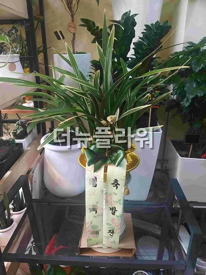 실제 배송 사진 16