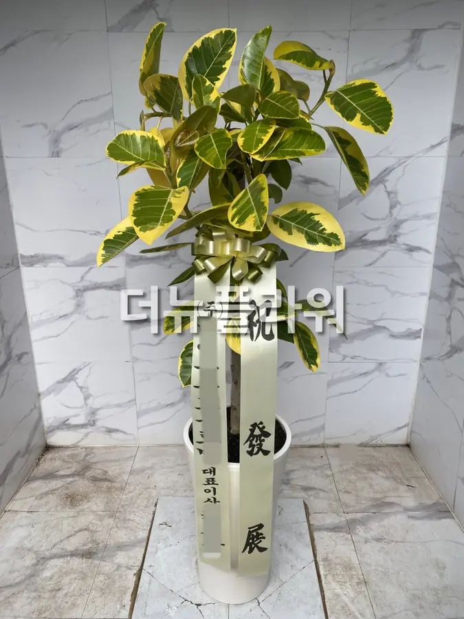 실제 배송 사진 19