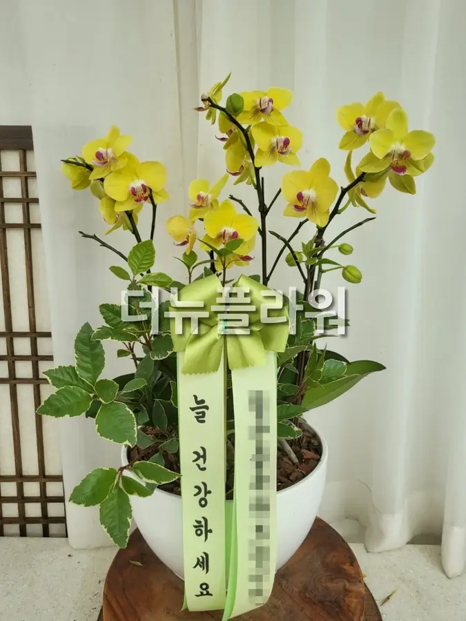 실제 배송 사진 20