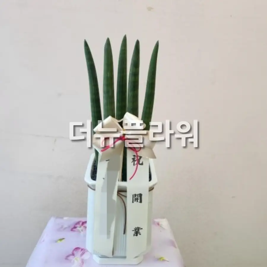 실제 배송 사진 2