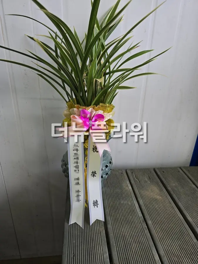 실제 배송 사진 5