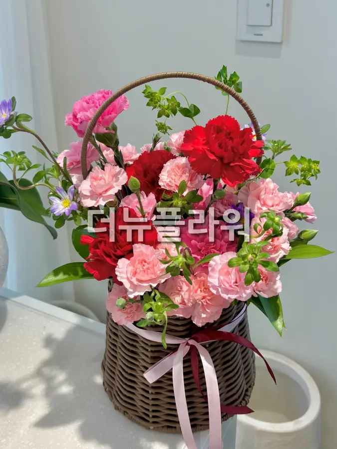 실제 배송 사진 23