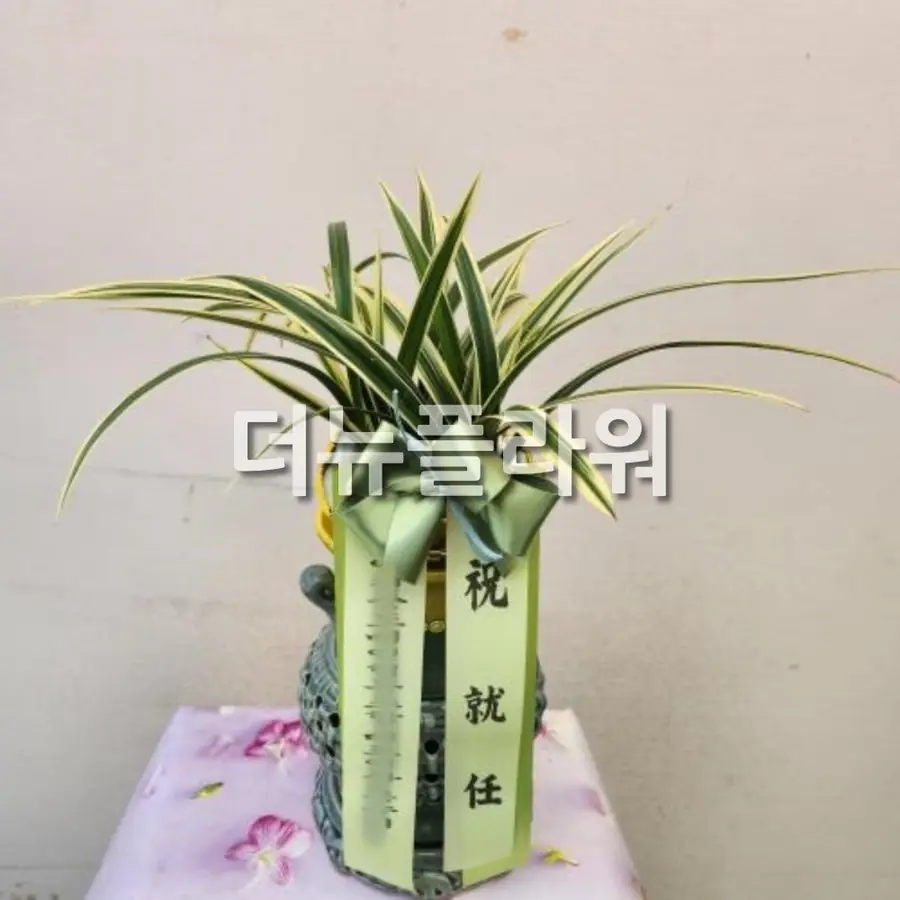 실제 배송 사진 21