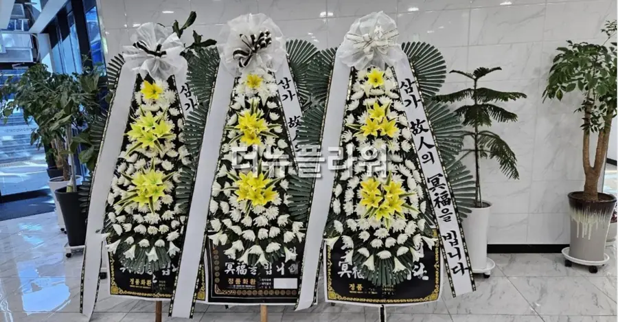 실제 배송 사진 10