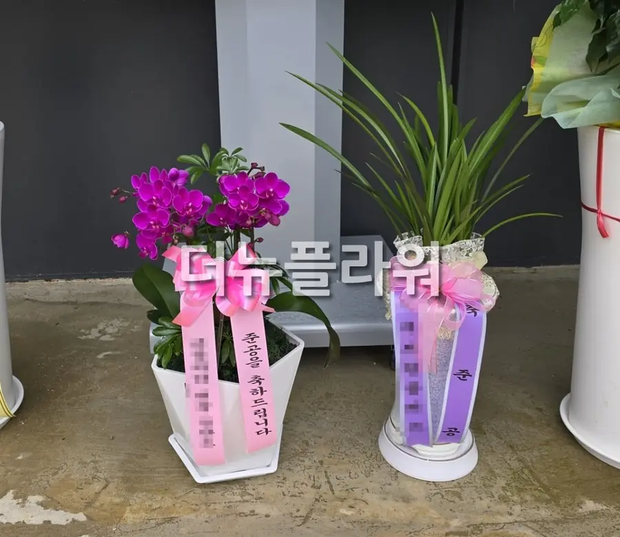 실제 배송 사진 12