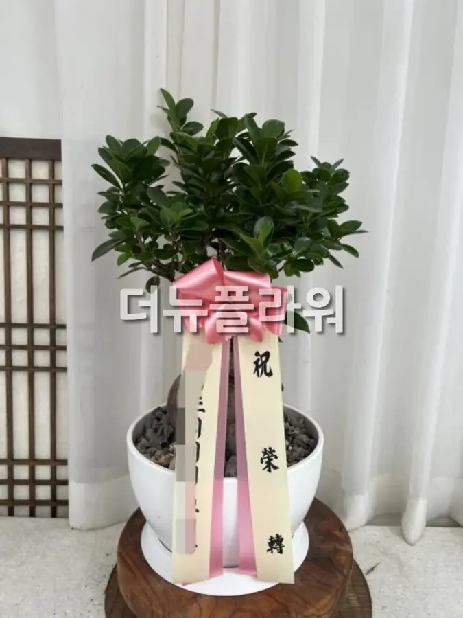실제 배송 사진 16