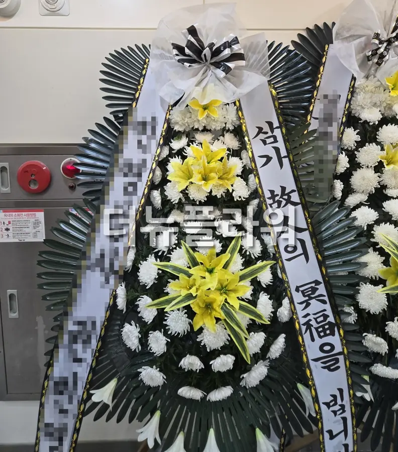 실제 배송 사진 19