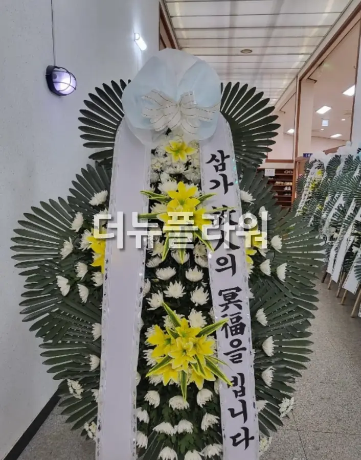 실제 배송 사진 21