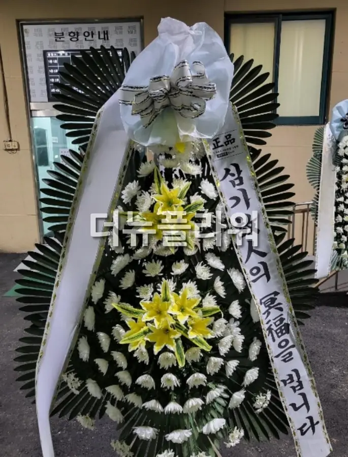 실제 배송 사진 24