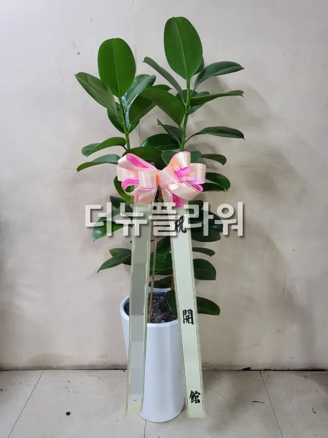 실제 배송 사진 21