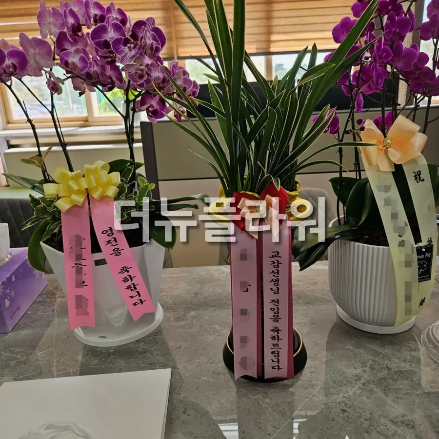 실제 배송 사진 3