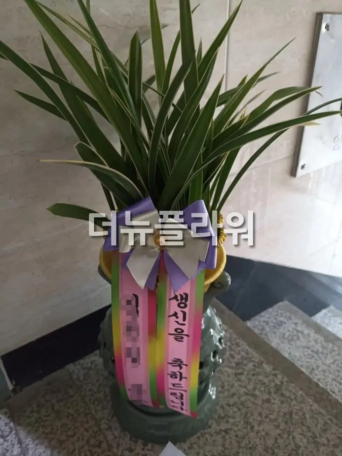 실제 배송 사진 12