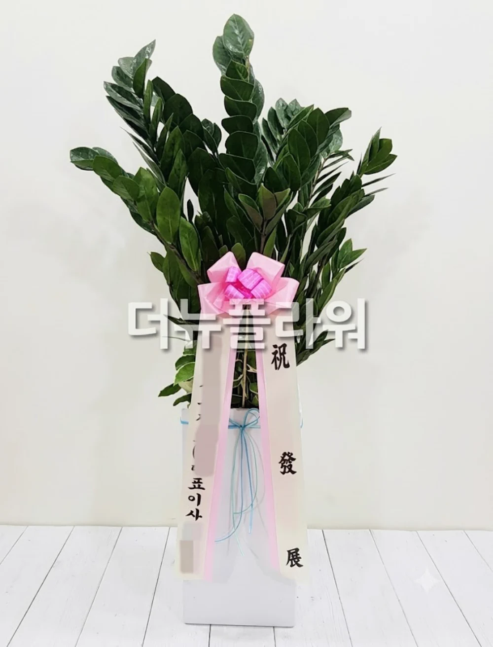개업 축하용 금전수 상품
