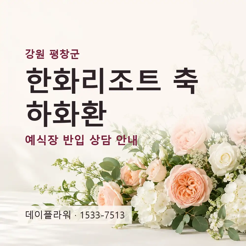 한화리조트 축하화환 상담 대표 이미지