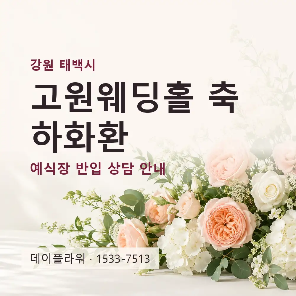 고원웨딩홀 축하화환 상담 대표 이미지