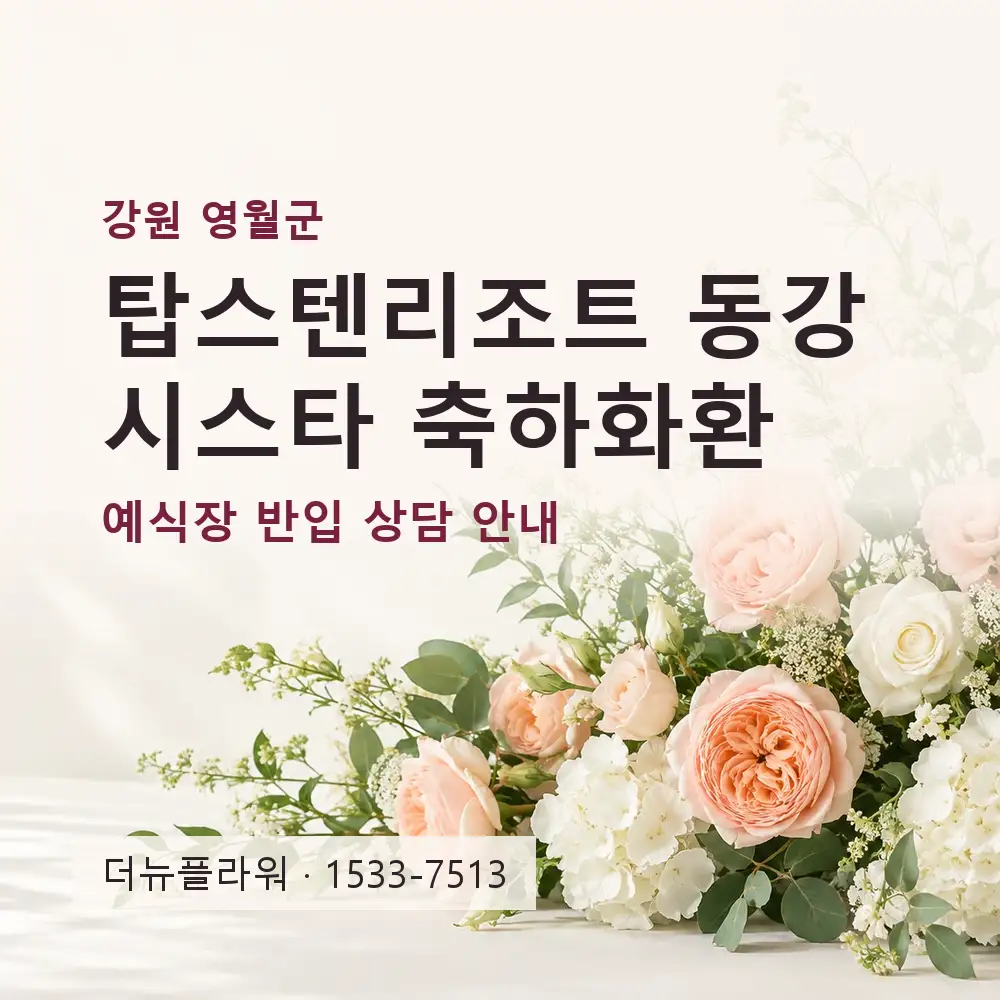 탑스텐리조트 동강시스타 축하화환 상담 대표 이미지