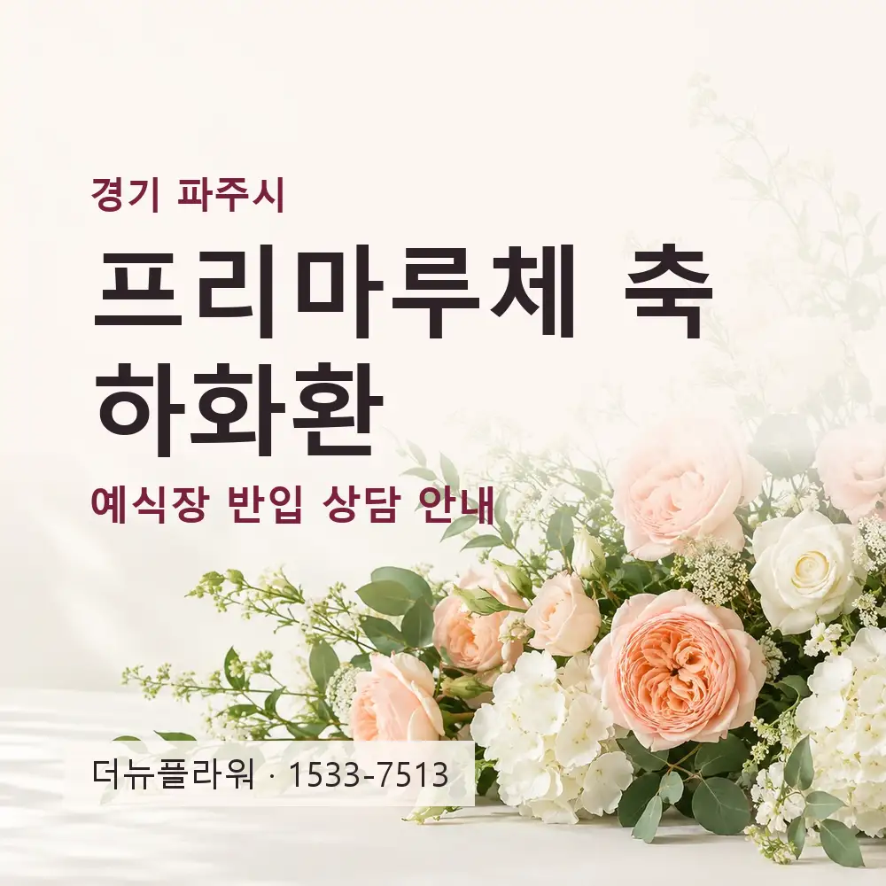 프리마루체 축하화환 상담 대표 이미지