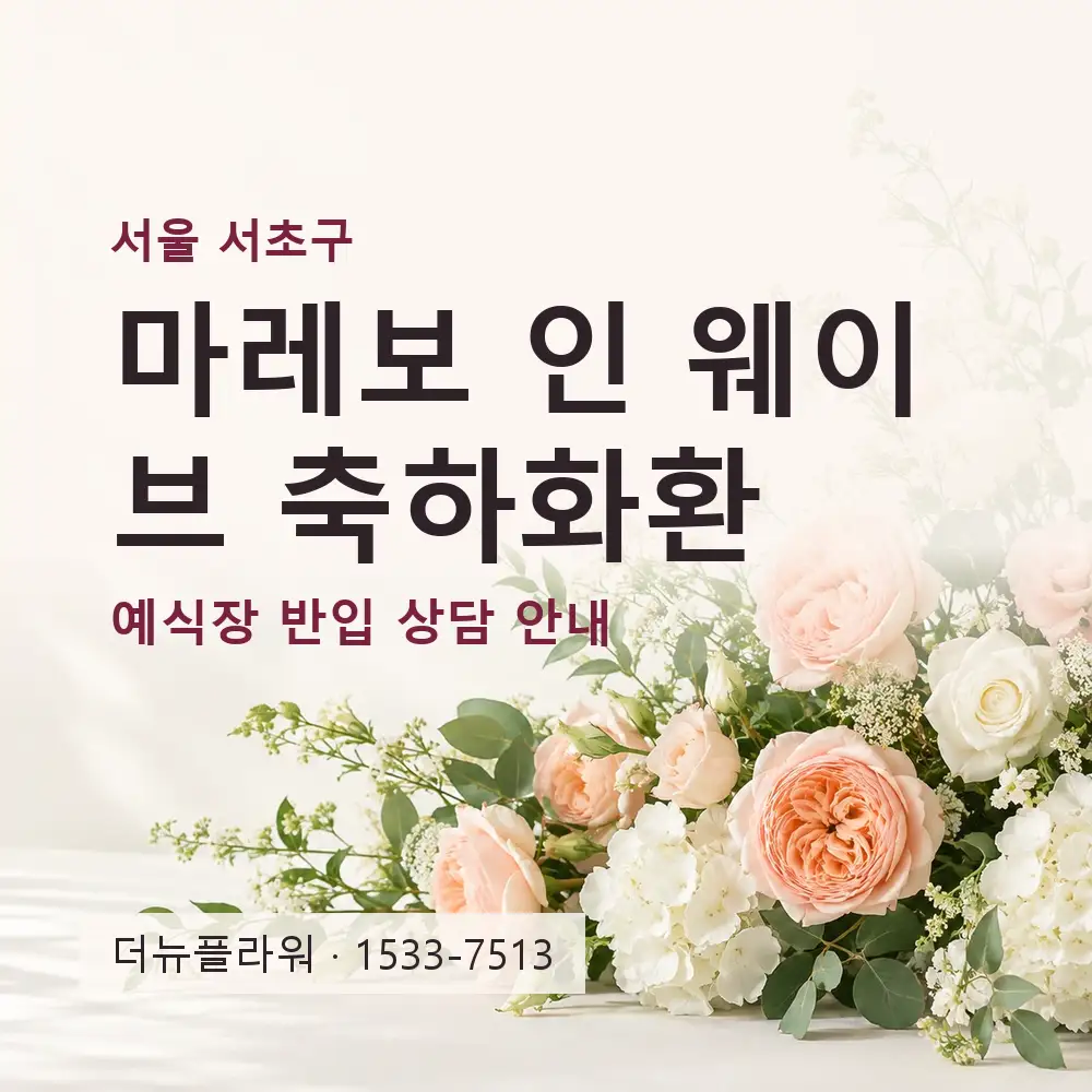 마레보 인 웨이브 축하화환 상담 대표 이미지