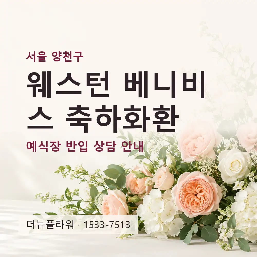웨스턴 베니비스 축하화환 상담 대표 이미지